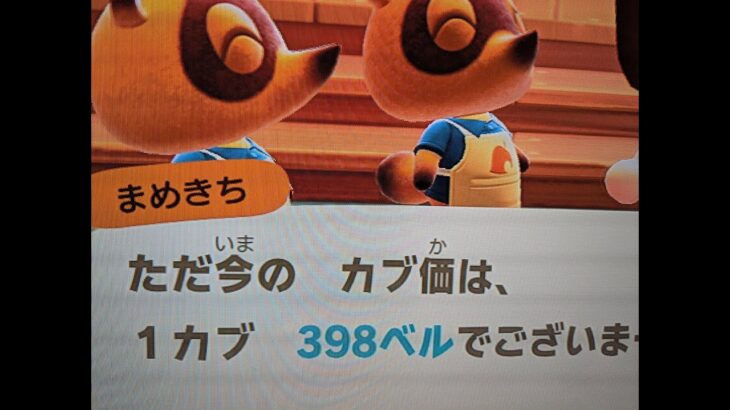 【あつ森】カブ398島開放中！高評価、チャンネル登録で無料です！
