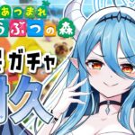 【朝活耐久/#あつ森 】お目当てはペンギン！高評価40もらえるまで住民ガチャ！推し住民を迎えたい【初見さん歓迎】