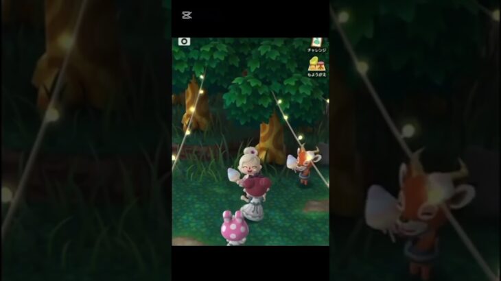 【#ポケ森 #あつ森 】#40挨拶のあとに✨あっちにも行かなくっちゃ🏝️