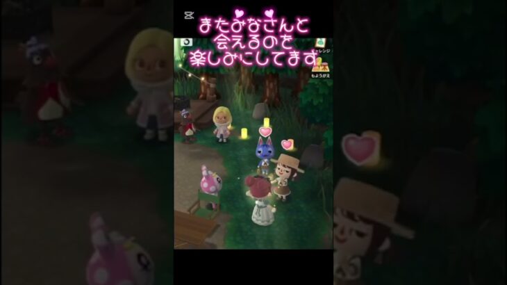 【#ポケ森 #あつ森 】#40MIXコラボ？🏝️