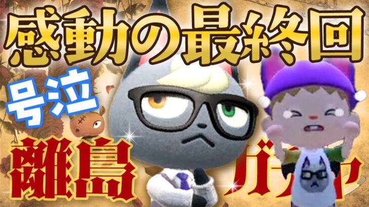 【あつ森】奇跡！感動の最終回😭ジャック探しの離島ガチャをするライブ！計425枚 #あつまれどうぶつの森