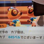 【あつ森】カブ445島開放中！高評価、チャンネル登録で無料です！