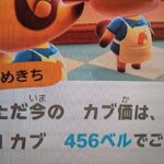 【あつ森】カブ456島開放中！高評価、チャンネル登録で無料です！