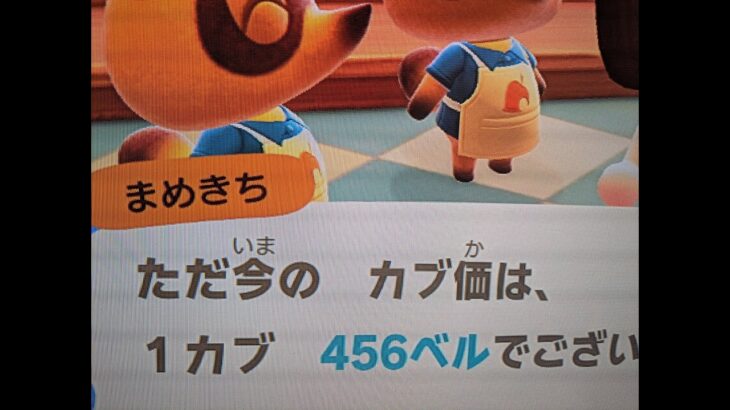 【あつ森】カブ456島開放中！高評価、チャンネル登録で無料です！