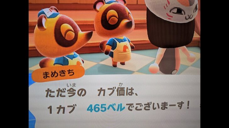 【あつ森】カブ465島開放中！高評価、チャンネル登録で無料です！