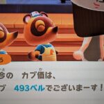 【あつ森】カブ493島開放中！高評価、チャンネル登録で無料です！