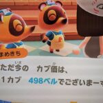 【あつ森】カブ498島開放中！高評価、チャンネル登録で無料です！