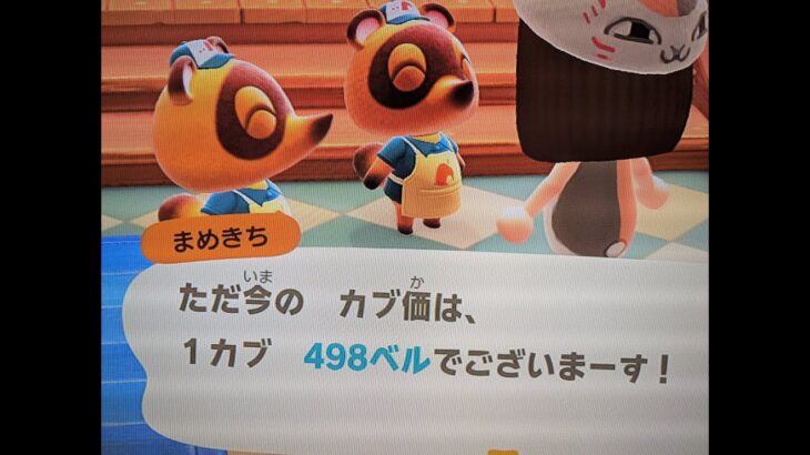 【あつ森】カブ498島開放中！高評価、チャンネル登録で無料です！