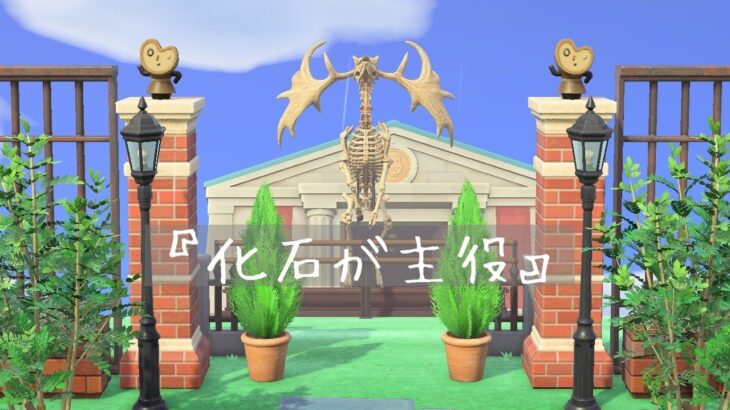 【あつ森】化石が主役🦕簡単に映える博物館!! 5分で島クリエイト　【あつ森　島クリエイト】