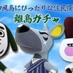 【あつ森】離島ガチャ！和風島にぴったりな住民を探すライブ配信🌻【あつまれ どうぶつの森】【@シンタ】#5