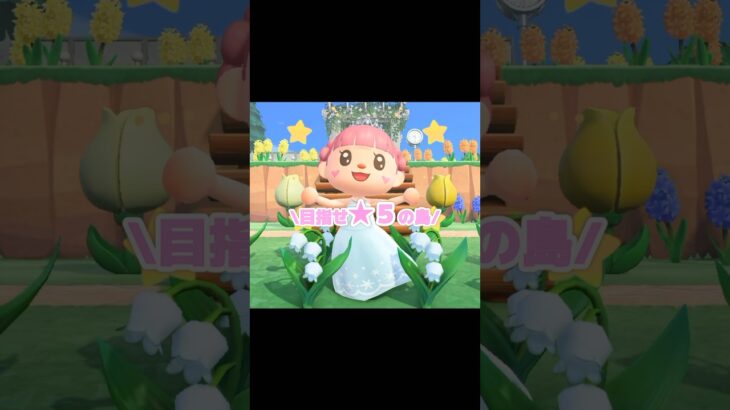島の評価が★5になるといいこと…？！？！#あつ森 #どうぶつの森 #あつまれどうぶつの森 #どう森 #shortvideo #shorts #short #島の評価星５