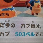 【あつ森】カブ503島開放中！高評価、チャンネル登録で無料です！