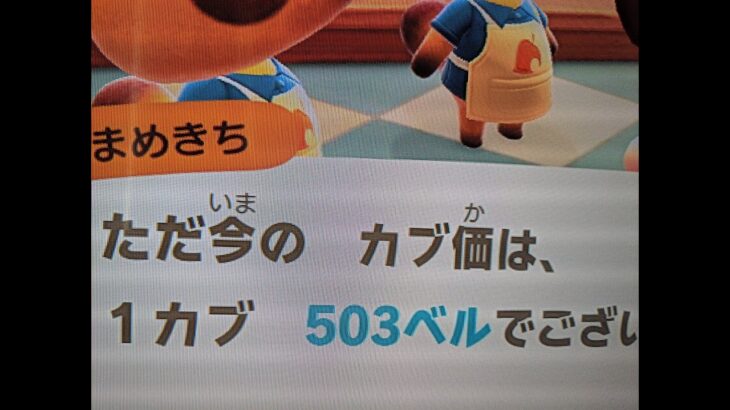 【あつ森】カブ503島開放中！高評価、チャンネル登録で無料です！