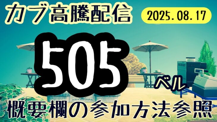 【あつ森】カブ高騰・高値配信（505ベル）※概要欄必読