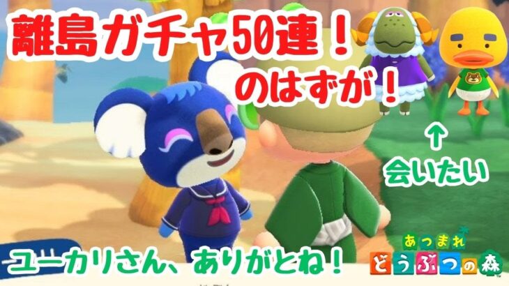 【あつ森 離島ガチャ】最速神引き！50回やるつもりが！【ACNH】【あつまれどうぶつの森】【ライブ配信】