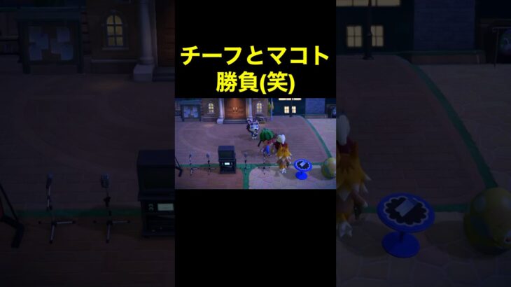 【チーフとマコト勝負(笑)あつ森#510】#shorts#switch#あつ森#あつまれどうぶつの森#ゲーム