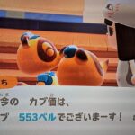 【あつ森】カブ553島開放中！高評価、チャンネル登録で無料です！