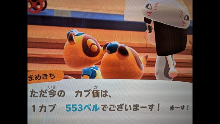 【あつ森】カブ553島開放中！高評価、チャンネル登録で無料です！
