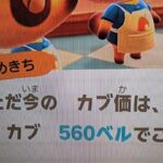 【あつ森】カブ560島開放中！高評価、チャンネル登録で無料です！
