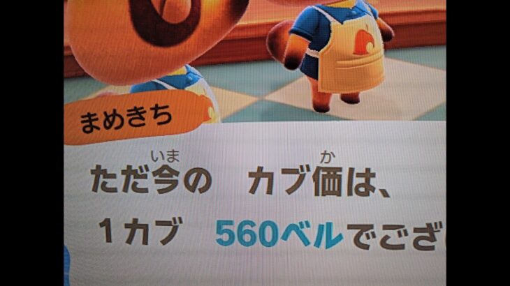 【あつ森】カブ560島開放中！高評価、チャンネル登録で無料です！