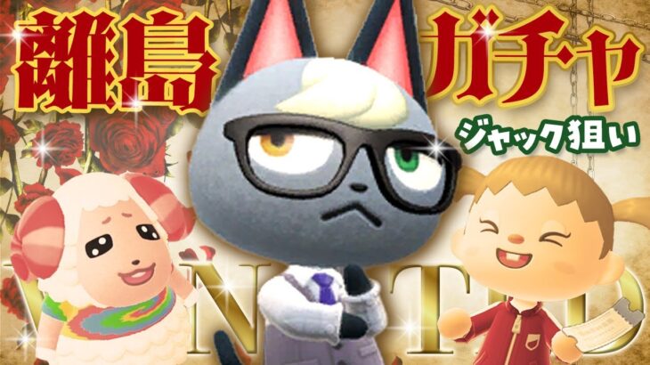 【あつ森】ジャック探しの離島ガチャをするライブ！#6 #あつまれどうぶつの森