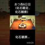 あつ森6日目（化石鑑定、化石観察、おまけ）#あつまれどうぶつの森