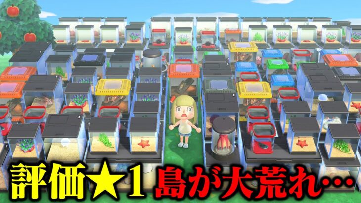 【あつ森】やばい！島の評価は星１…荒れ果てた島を一気に大掃除する【あつまれどうぶつの森 るいぼす島編 #6】