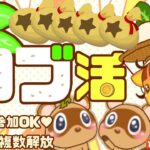 【あつ森】600ベル以上複数解放｜カブ活高騰島｜ライブ【あつまれどうぶつの森】
