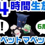 祝！6周年！パペットマペットの24時間ずーっと生放送🐮🐸