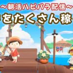 【あつ森】久しぶりの朝活ハピパラ！6×6縛りレイアウトでポキを稼ぐLIVE配信！【あつまれ どうぶつの森】