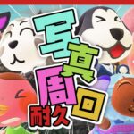 【あつ森 | 耐久配信】6時間で新メンバーから写真は貰えるのか！？【HIPHOP島】