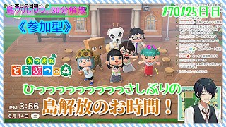 【あつ森参加型】整地、片付け、企画会議。#70#25日目【まったりやります】