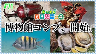 【あつ森コンプ雑談】一年も博物館そのままだと、心配よな。ちょび、動きます。#71【まったりやります】