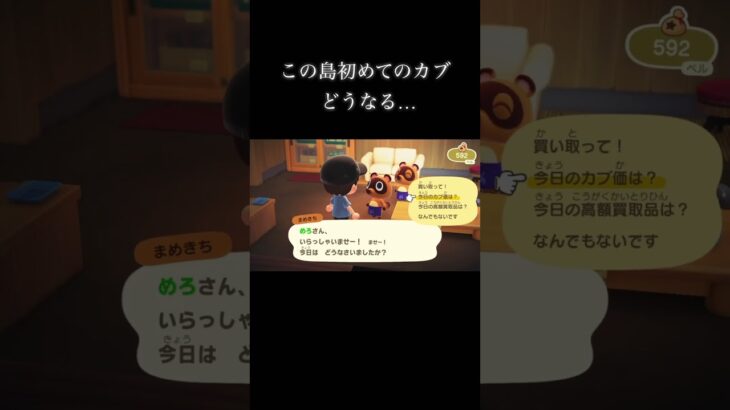 あつ森7回目の島初のカブどうなる！？#shorts #あつ森