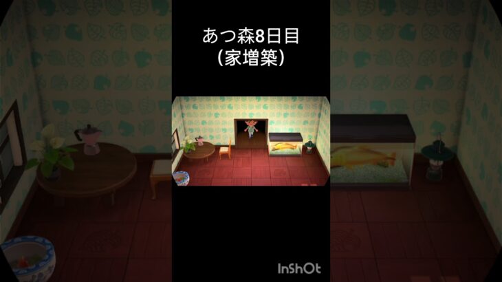 あつ森8日目（家増築） #あつまれどうぶつの森