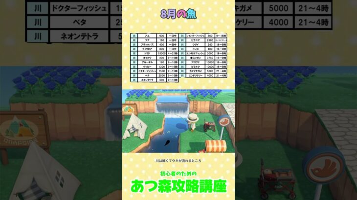 8月の魚  #あつ森#あつ森攻略講座 #あつ森裏技 #あつ森魚の釣り方 #あつ森8月の魚