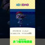 8月の海の幸  #あつ森＃あつ森攻略講座 #あつ森裏技 ＃あつ森海の幸のとり方＃あつ森8月の海の幸