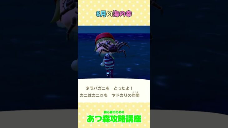 8月の海の幸  #あつ森＃あつ森攻略講座 #あつ森裏技 ＃あつ森海の幸のとり方＃あつ森8月の海の幸