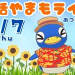 8/7(木)☀️朝活やまもライブ【あつ森雑談配信】