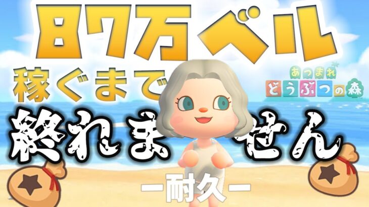 【あつ森】87万ベル稼ぐまで終れません｜8700人突破記念耐久｜ライブ【あつまれどうぶつの森】