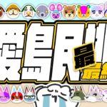 【動森主題雜談】喜愛島民排行之 「最・最終回」！世紀難題迎來「真・最終回」了(一定啦)！！！初見歡迎！｜ 托托安 #あつまれどうぶつの森 #あつ森 #動物森友會 #ACNH #모동숲