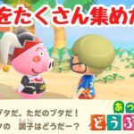【あつ森】島のみんなの写真をたくさん集めたい！【ACNH】【あつまれどうぶつの森】【ライブ配信】