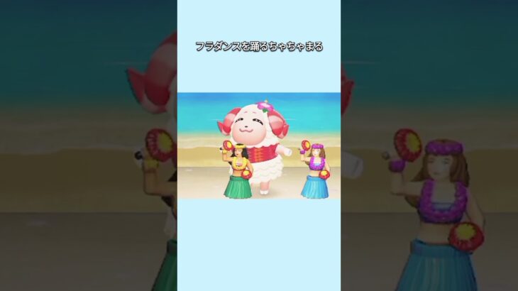 【あつ森】フラダンス人形と一緒にフラダンスを踊るちゃちゃまる💃🌺😊💕【あつまれどうぶつの森】【どうぶつの森】【ACNH】 #short