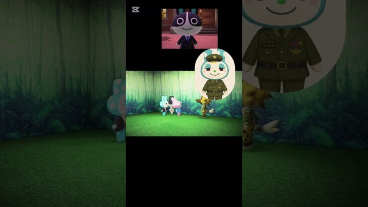 陸上あつ森　Animal Crossing