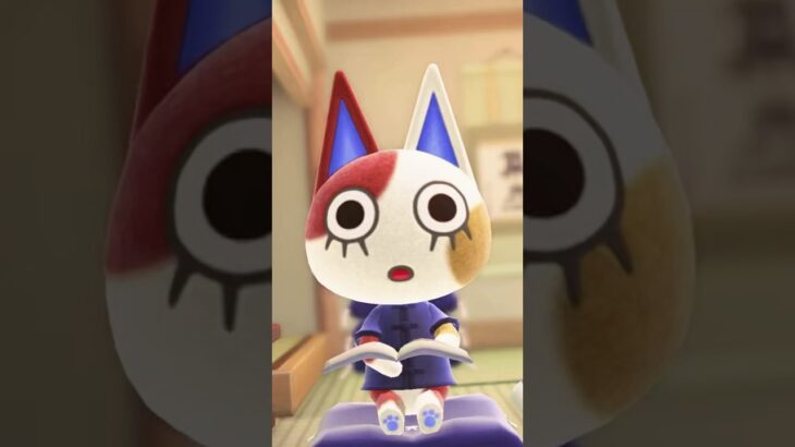 【あつ森｜ハピパラ】こたつでのんびり生活🍵*｡ﾟ  #あつまれどうぶつの森 #AnimalCrossing #ACNH #Shorts