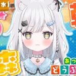 【あつ森】朝活あつ森☀️小さな森の中にあるパン屋さん作る🍞【雑談＆作業用BGM＆睡眠導入】 #shorts