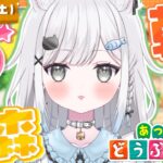【あつ森】朝活あつ森☀️虫取り大会だあああ！！！！！【雑談＆作業用BGM＆睡眠導入】 #shorts