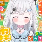 【あつ森】朝活あつ森☀️理想の南国ビーチ島クリ！！🏖🌺【雑談＆作業用BGM＆睡眠導入】 #shorts