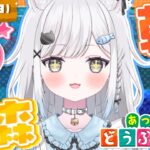 【あつ森】朝活あつ森☀️レインボーお花畑作り！！【雑談＆作業用BGM＆睡眠導入】 #shorts