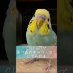 ChatGPTであつ森キャラに変身チュキちゃん✨ #ペット動画 #セキセイインコ #javasparrow #インコ #すごい #癒し #birds #おすすめにのりたい #かわいい #おもしろ